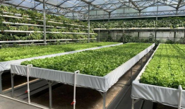 吃瓜爆料交流群怎么进入,如何轻松加入吃瓜爆料交流群，畅享热门话题