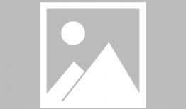 人兽视频,揭秘神秘生物与人类共存的奇幻世界